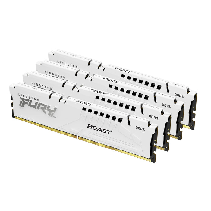 Kingston Technology FURY Beast memory module