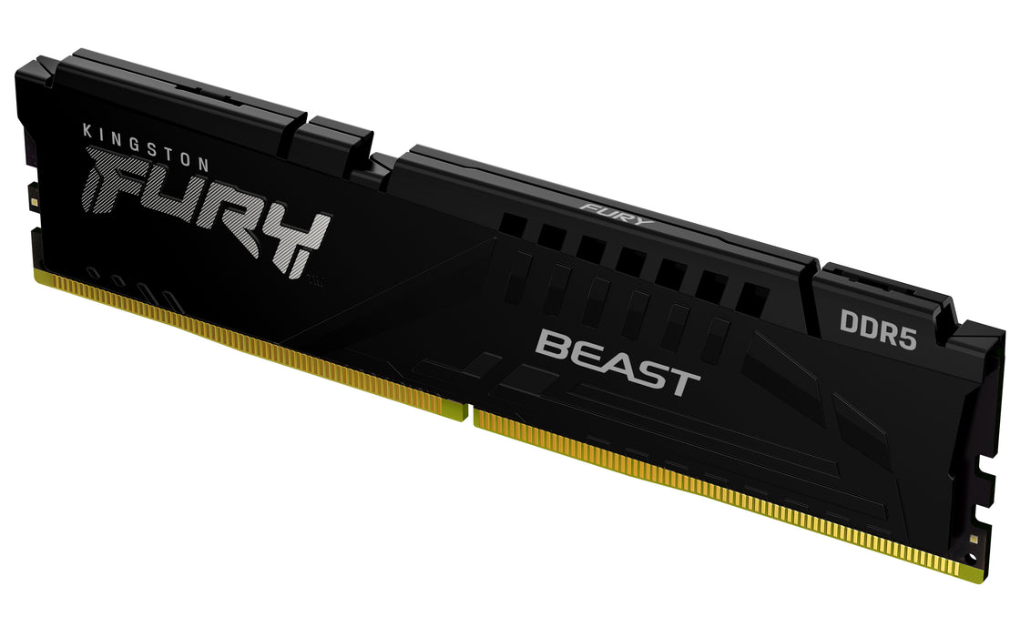 Kingston Technology FURY Beast memory module