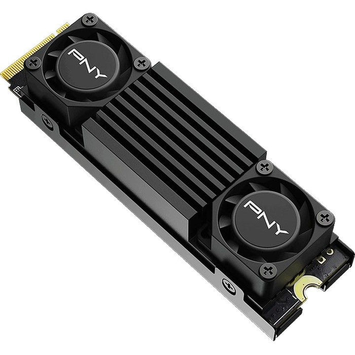 PNY CS3150
