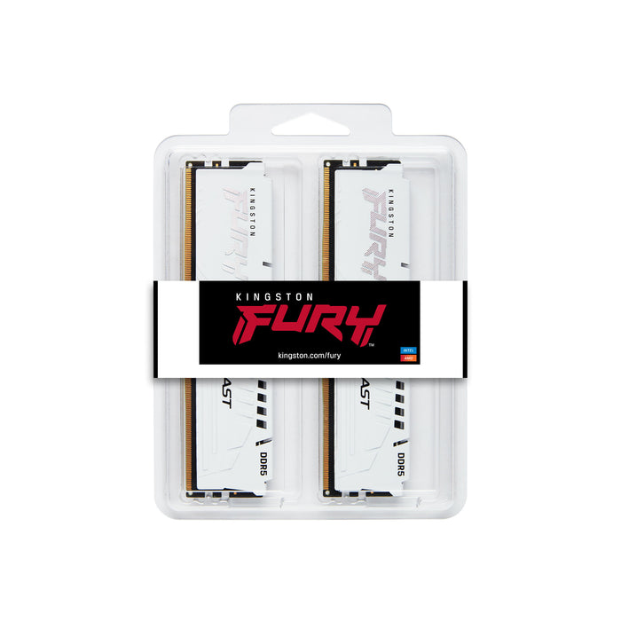 Kingston Technology FURY Beast memory module