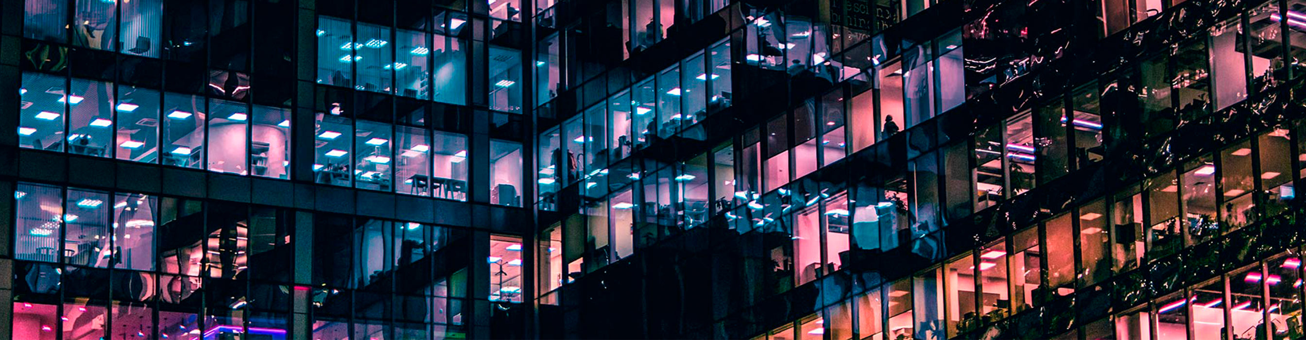 Monitor de computadora AOC P1 X24P1