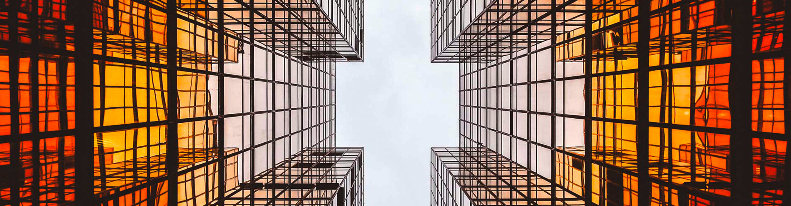 Monitor de computadora AOC P1 X24P1/GR