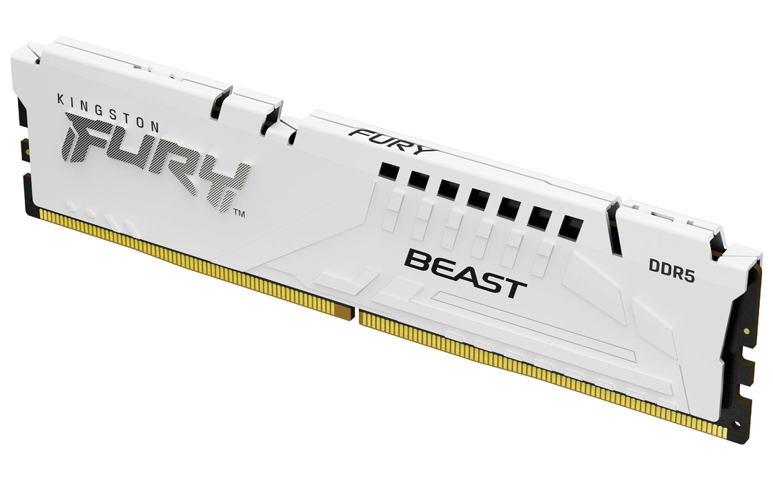 Módulo de memoria Kingston Technology FURY Beast