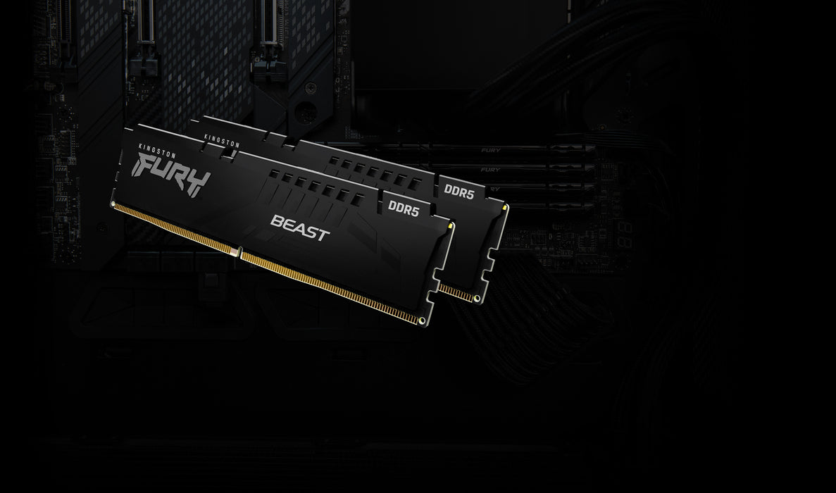 Kingston Technology FURY Beast memory module