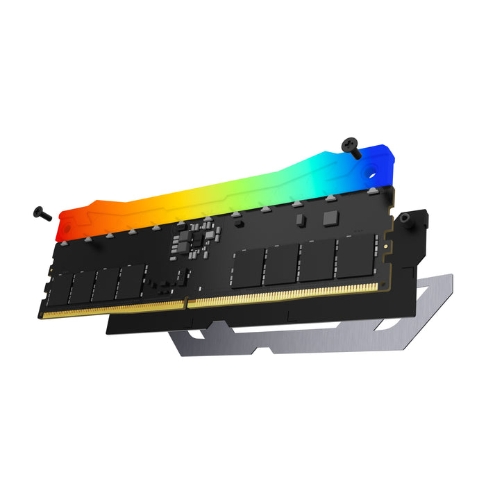Kingston Technology FURY Renegade RGB memory module