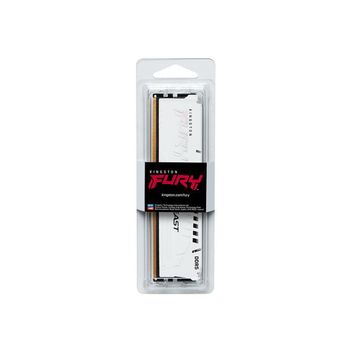 Kingston Technology FURY Beast memory module